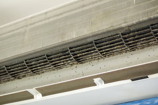 Best Ventilation Cleaning Services  in Archie, MO